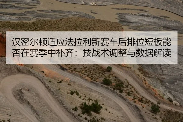 han-mi-er-dun-shi-ying-fa-la-li-xin-sai-che-hou-pai-wei-duan-ban-neng-fou-zai-sai-ji-zhong-bu-qi-ji-zhan-shu-tiao-zheng-2-323.jpg
